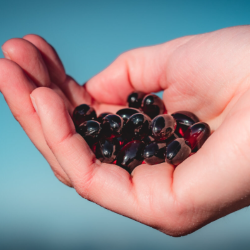 Marine Policosanols from Zooca®: A Unique Bioactive